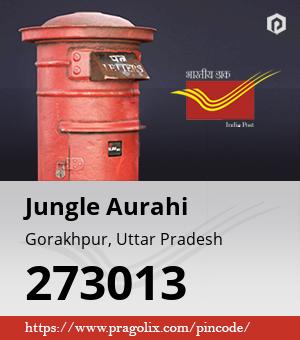 Jungle Aurahi Post office