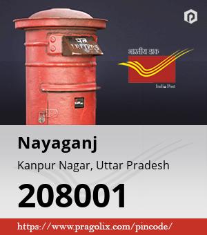 Nayaganj Post office