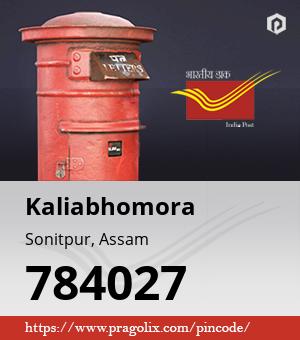 Kaliabhomora Post office