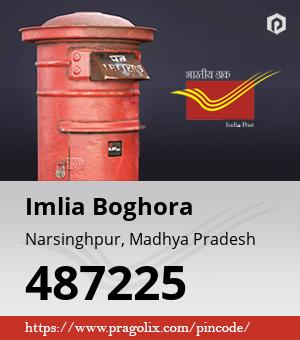 Imlia Boghora Post office