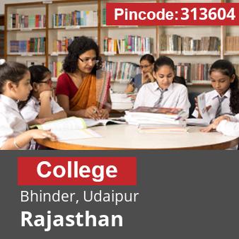 Pincode 313604 College Bhinder, Udaipur, Rajasthan