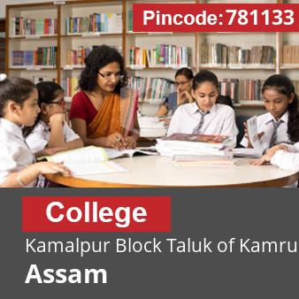 Pincode 781133 College Kamalpur Block Taluk of Kamrup, Kamrup, Assam