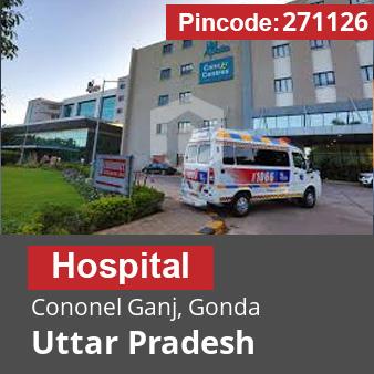 Pincode 271126 Hospital Cononel Ganj, Gonda, Uttar Pradesh