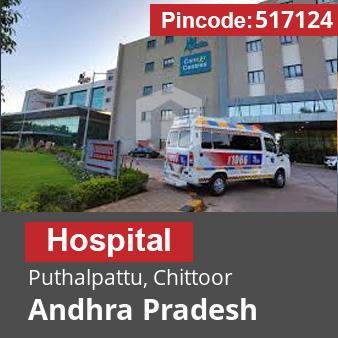 Pincode 517124 Hospital Puthalpattu, Chittoor, Andhra Pradesh