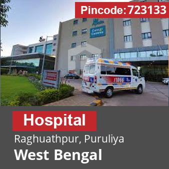 Pincode 723133 Hospital Raghuathpur, Puruliya, West Bengal