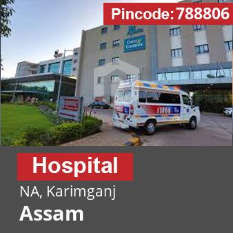 Pincode 788806 Hospital NA, Karimganj, Assam