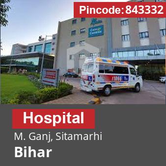 Pincode 843332 Hospital M. Ganj, Sitamarhi, Bihar