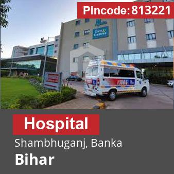 Pincode 813221 Hospital Shambhuganj, Banka, Bihar