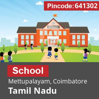 Pincode 641302 School Mettupalayam, Coimbatore, Tamil Nadu