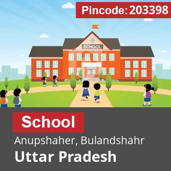 Pincode 203398 School Anupshaher, Bulandshahr, Uttar Pradesh