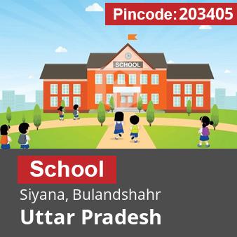 Pincode 203405 School Siyana, Bulandshahr, Uttar Pradesh