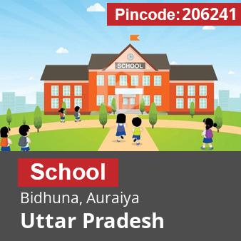 Pincode 206241 School Bidhuna, Auraiya, Uttar Pradesh