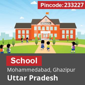 Pincode 233227 School Mohammedabad, Ghazipur, Uttar Pradesh