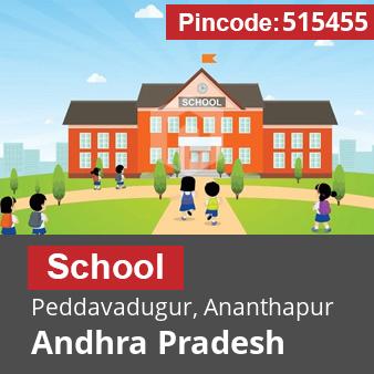 Pincode 515455 School Peddavadugur, Ananthapur, Andhra Pradesh