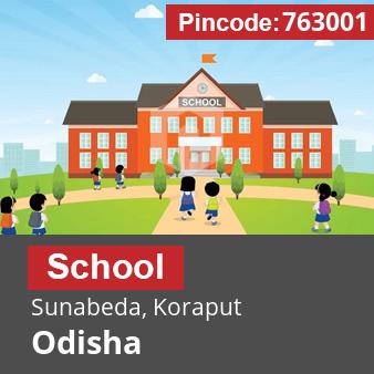 Pincode 763001 School Sunabeda, Koraput, Odisha