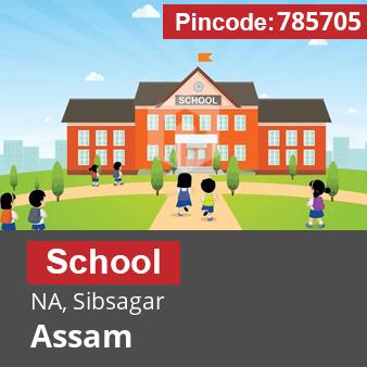 Pincode 785705 School NA, Sibsagar, Assam