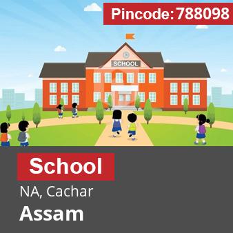 Pincode 788098 School NA, Cachar, Assam