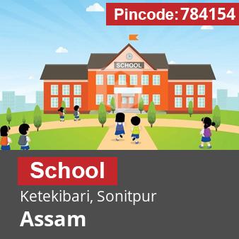 Pincode 784154 School Ketekibari, Sonitpur, Assam