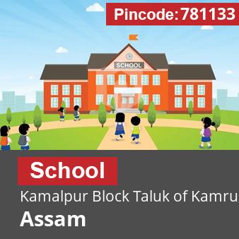 Pincode 781133 School Kamalpur Block Taluk of Kamrup, Kamrup, Assam