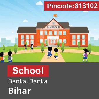 Pincode 813102 School Banka, Banka, Bihar