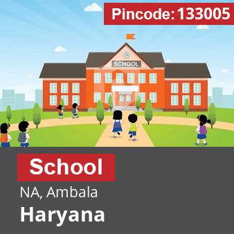 Pincode 133005 School NA, Ambala, Haryana