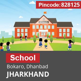 Pincode 828125 School Bokaro, Dhanbad, JHARKHAND