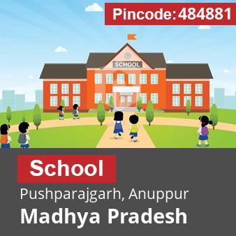 Pincode 484881 School Pushparajgarh, Anuppur, Madhya Pradesh