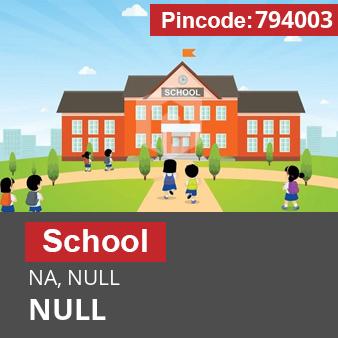 Pincode 794003 School NA, NULL, NULL