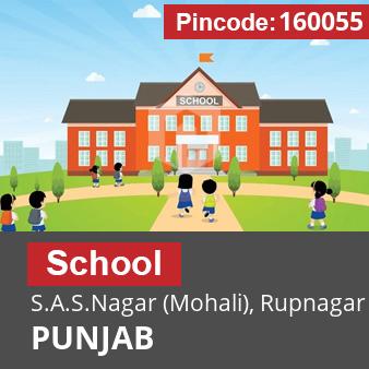 Pincode 160055 School S.A.S.Nagar (Mohali), Rupnagar, PUNJAB