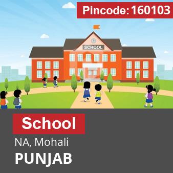 Pincode 160103 School NA, Mohali, PUNJAB