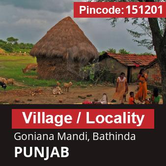 Pincode 151201 Village Goniana Mandi, Bathinda, PUNJAB