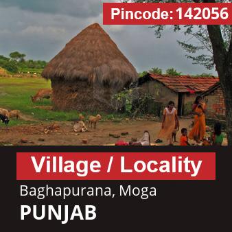 Pincode 142056 Village Baghapurana, Moga, PUNJAB