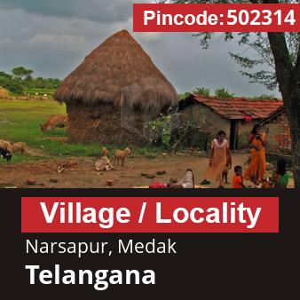 Pincode 502314 Village Narsapur, Medak, Telangana