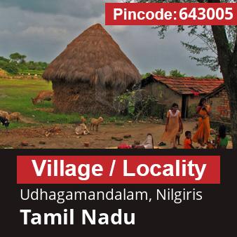 Pincode 643005 Village Udhagamandalam, Nilgiris, Tamil Nadu