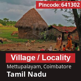 Pincode 641302 Village Mettupalayam, Coimbatore, Tamil Nadu