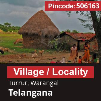 Pincode 506163 Village Turrur, Warangal, Telangana