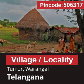 Pincode 506317 Village Turrur, Warangal, Telangana