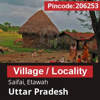 Pincode 206253 Village Saifai, Etawah, Uttar Pradesh