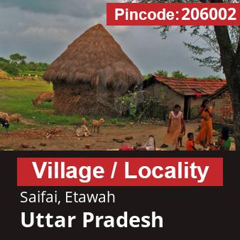 Pincode 206002 Village Saifai, Etawah, Uttar Pradesh