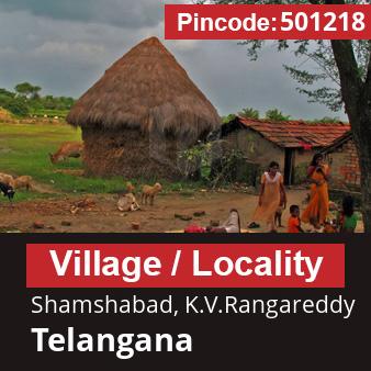 Pincode 501218 Village Shamshabad, K.V.Rangareddy, Telangana