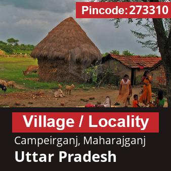 Pincode 273310 Village Campeirganj, Maharajganj, Uttar Pradesh