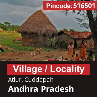 Pincode 516501 Village Atlur, Cuddapah, Andhra Pradesh