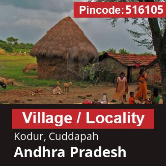 Pincode 516105 Village Kodur, Cuddapah, Andhra Pradesh