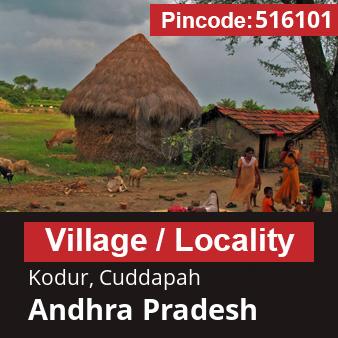 Pincode 516101 Village Kodur, Cuddapah, Andhra Pradesh