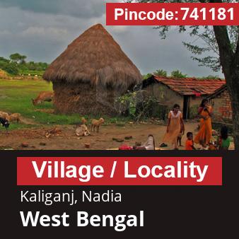 Pincode 741181 Village Kaliganj, Nadia, West Bengal