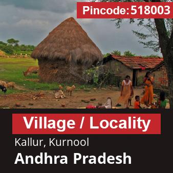 Pincode 518003 Village Kallur, Kurnool, Andhra Pradesh