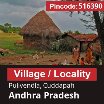 Pincode 516390 Village Pulivendla, Cuddapah, Andhra Pradesh