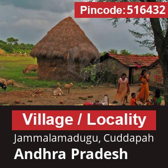 Pincode 516432 Village Jammalamadugu, Cuddapah, Andhra Pradesh