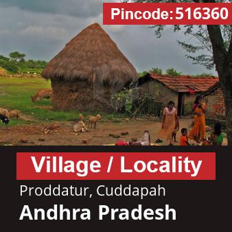 Pincode 516360 Village Proddatur, Cuddapah, Andhra Pradesh