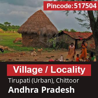 Pincode 517504 Village Tirupati (Urban), Chittoor, Andhra Pradesh